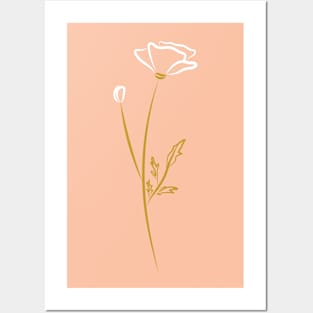 Modern minimal white poppy drawing on pink Posters and Art